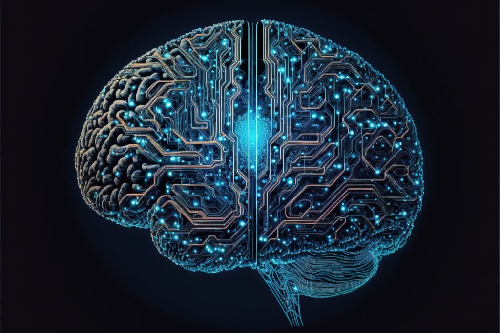 neural networks