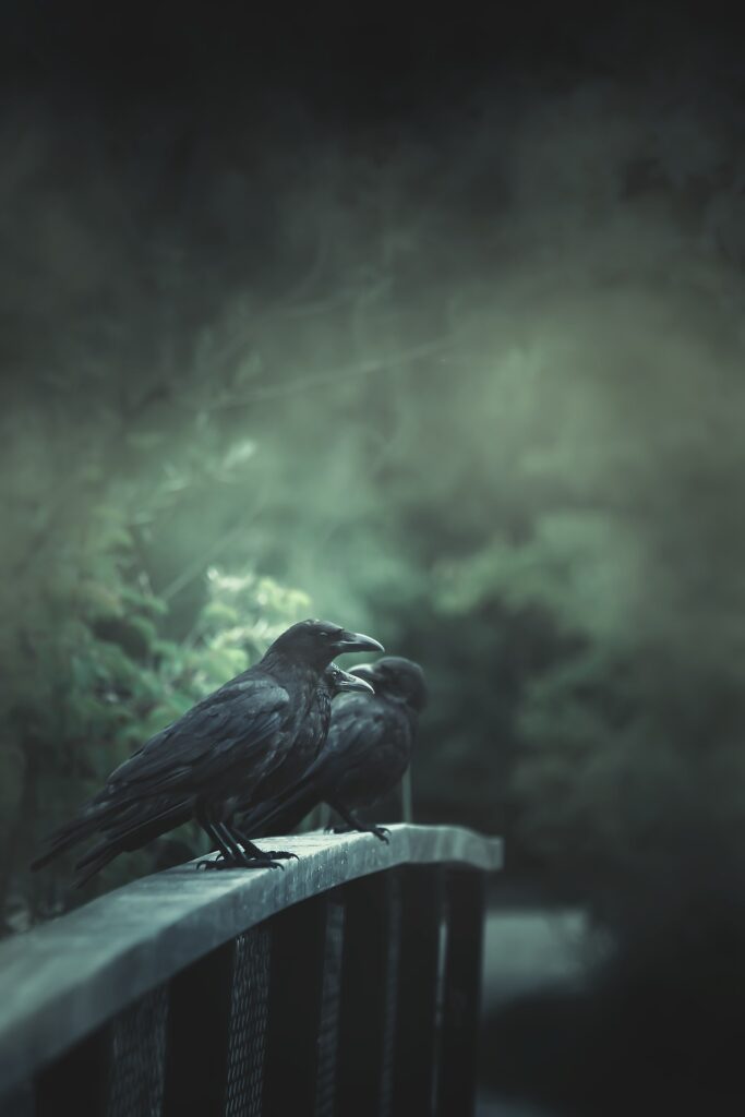 symbolic meaning of raven